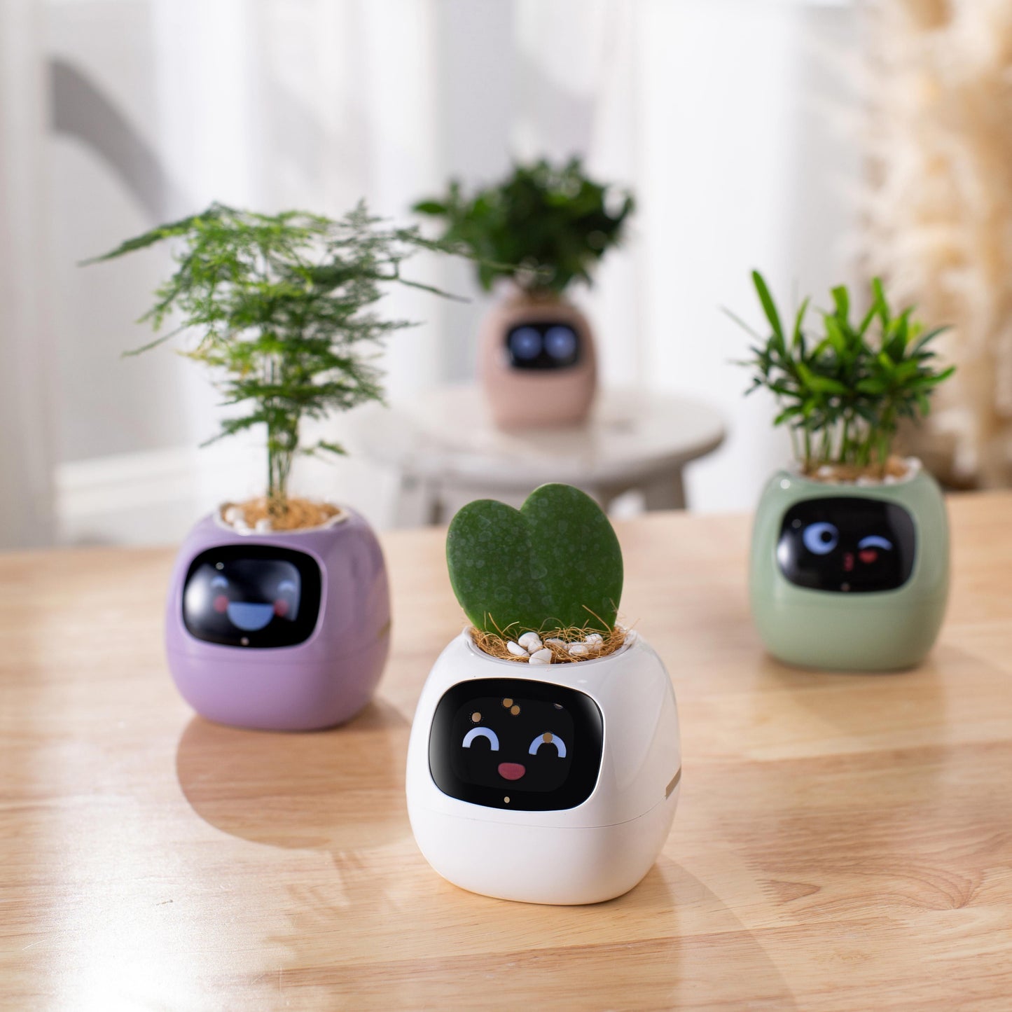 Plants Smart Planter