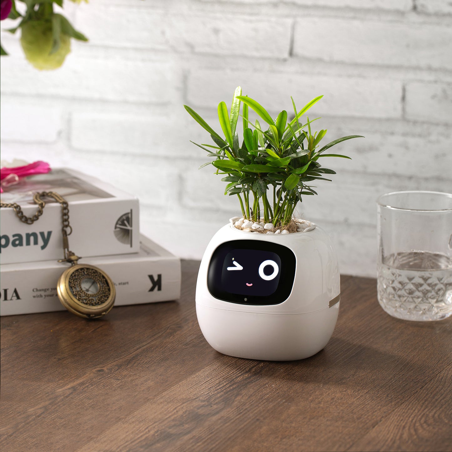 Plants Smart Planter