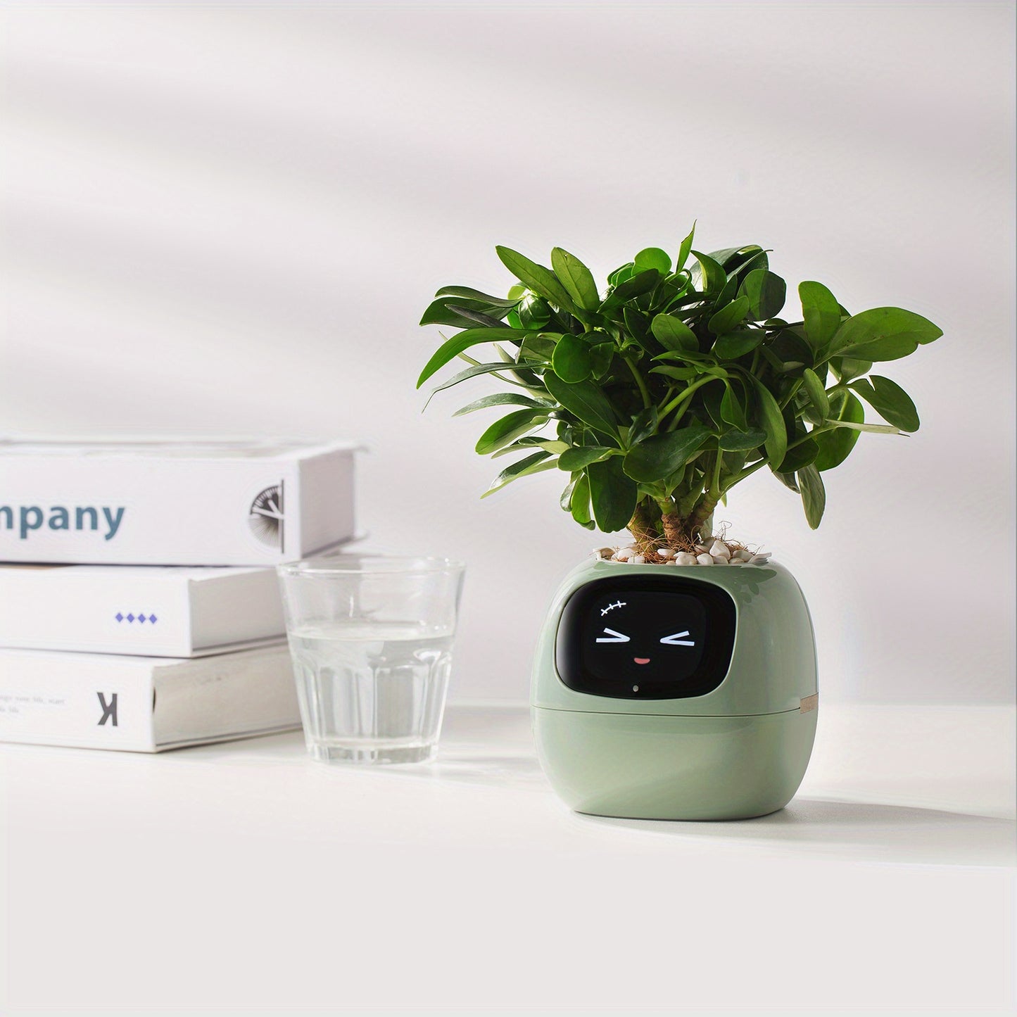 Plants Smart Planter