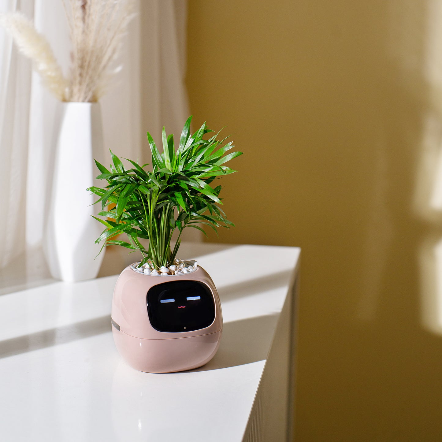 Plants Smart Planter