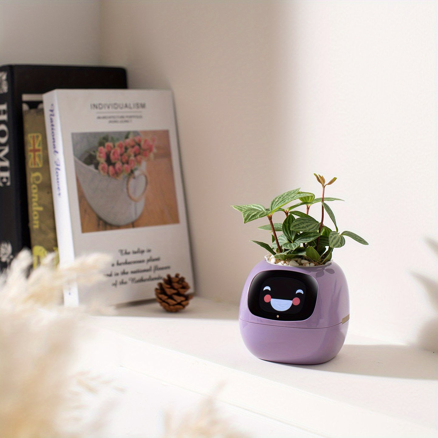 Plants Smart Planter