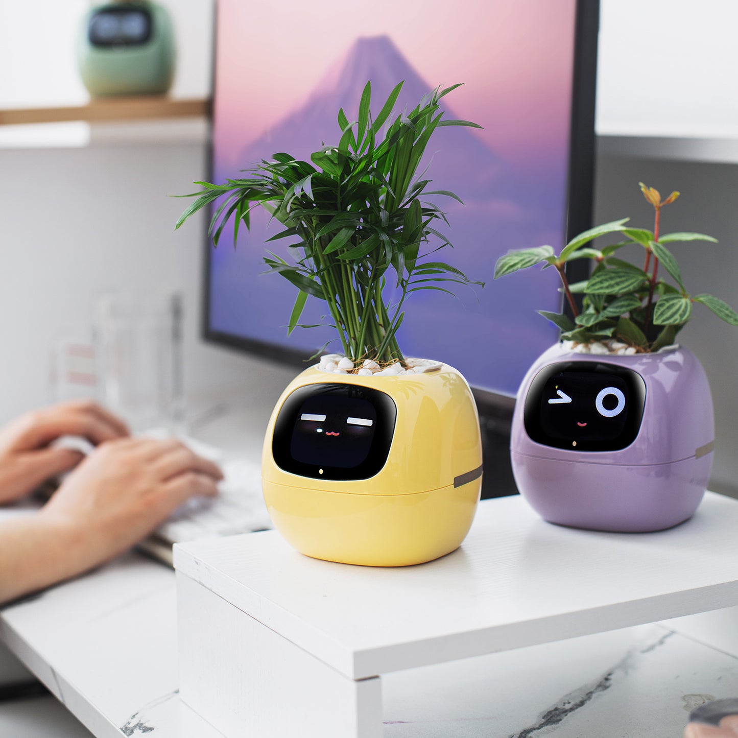 Plants Smart Planter