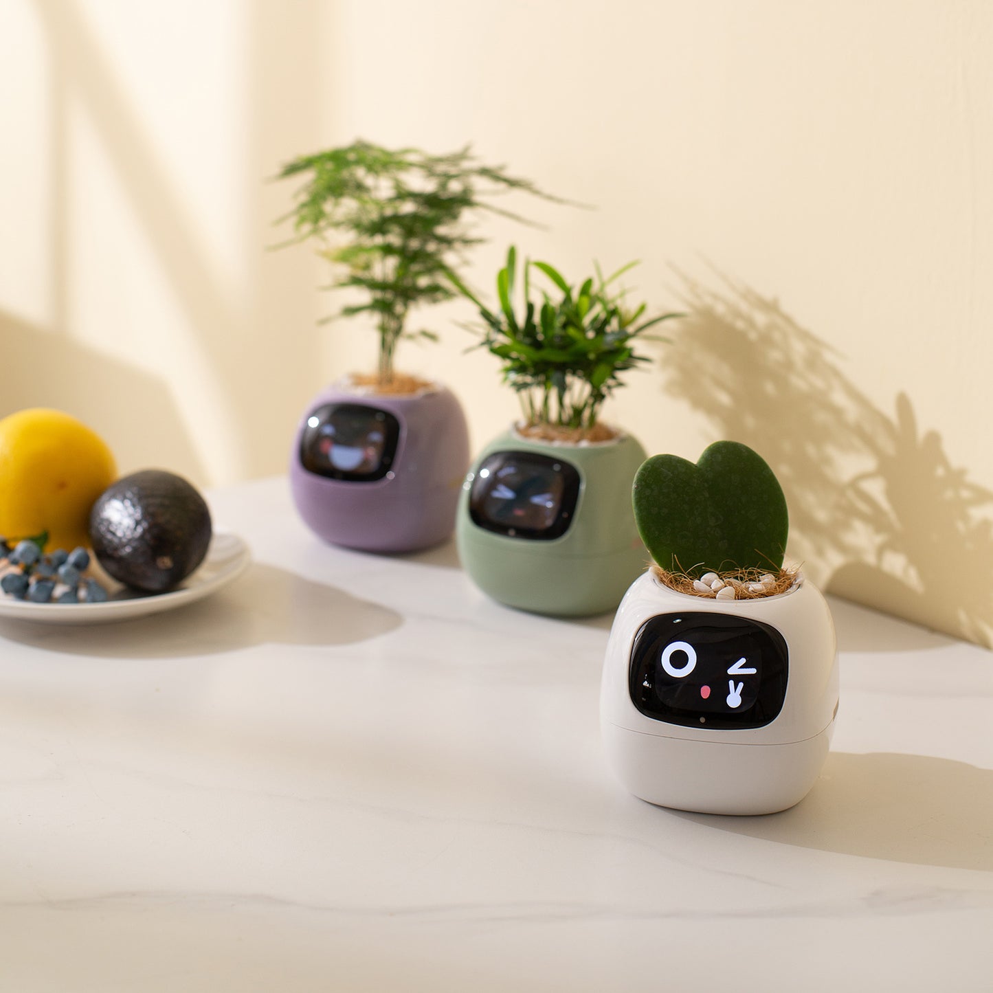 Plants Smart Planter