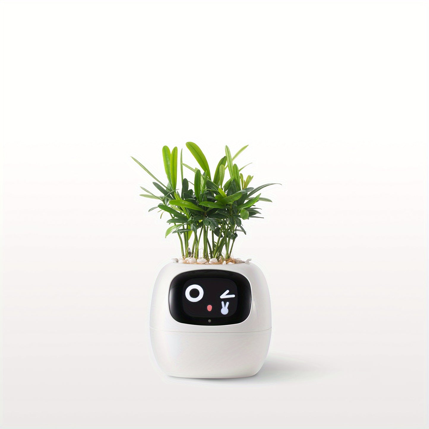 Plants Smart Planter
