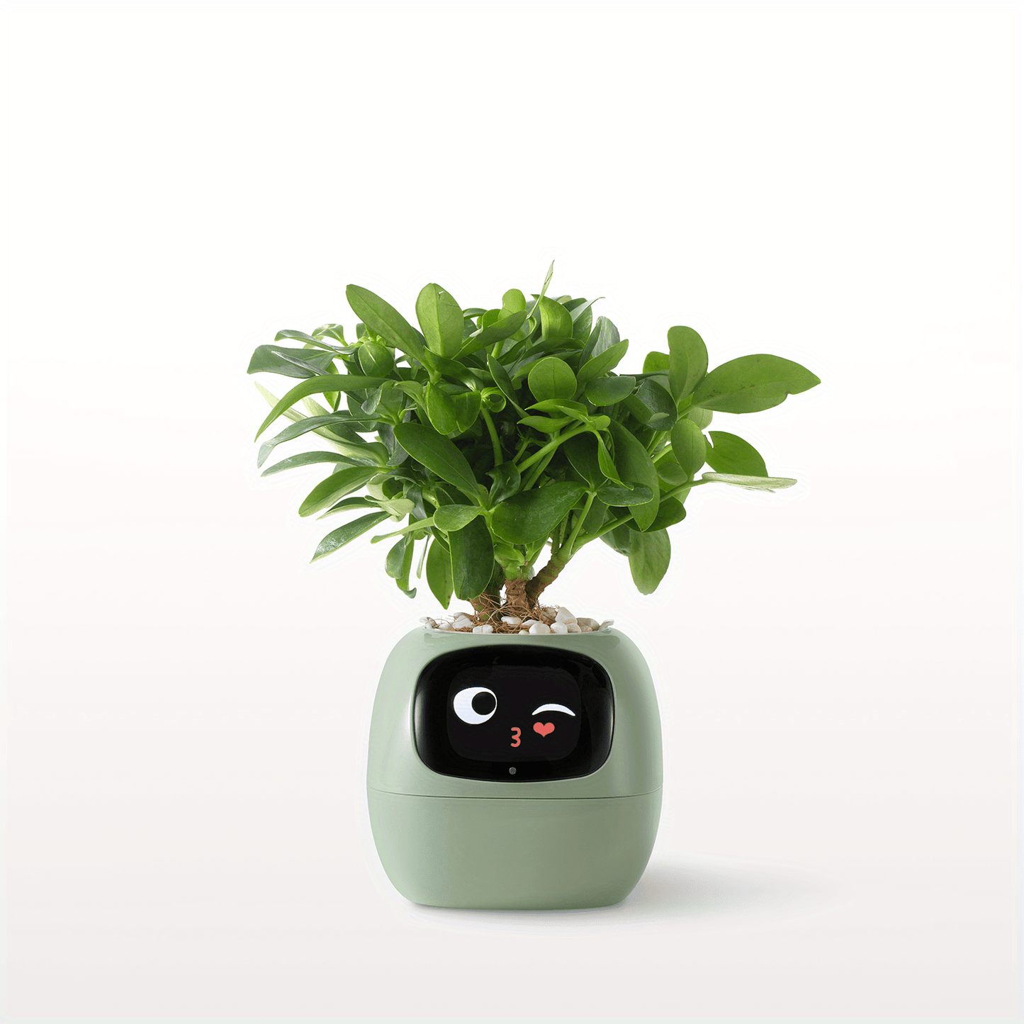 Plants Smart Planter