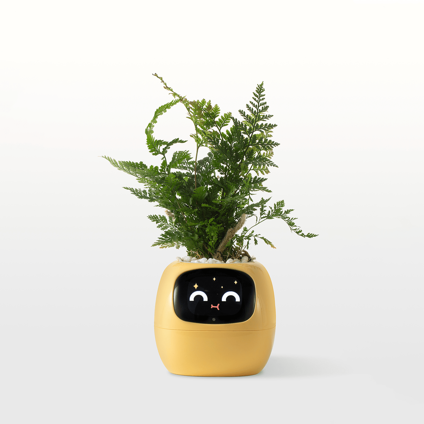 Plants Smart Planter