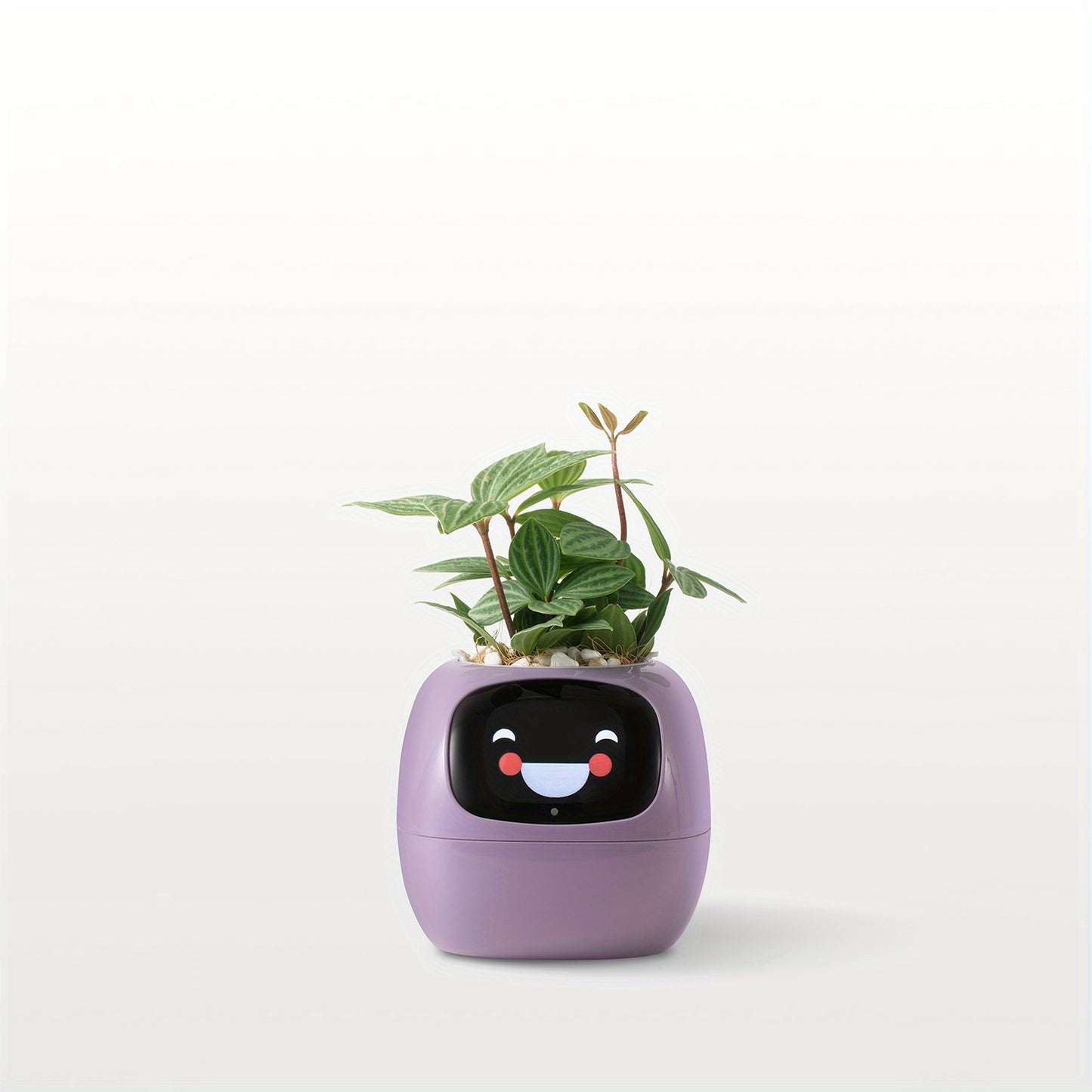 Plants Smart Planter