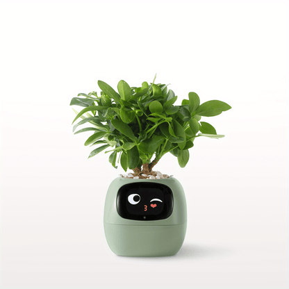 Plants Smart Planter