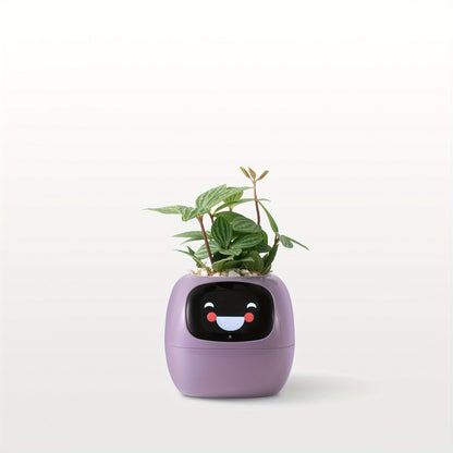 Plants Smart Planter