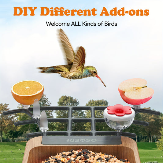 1080P HD Smart Bird Feeder with AI Identification