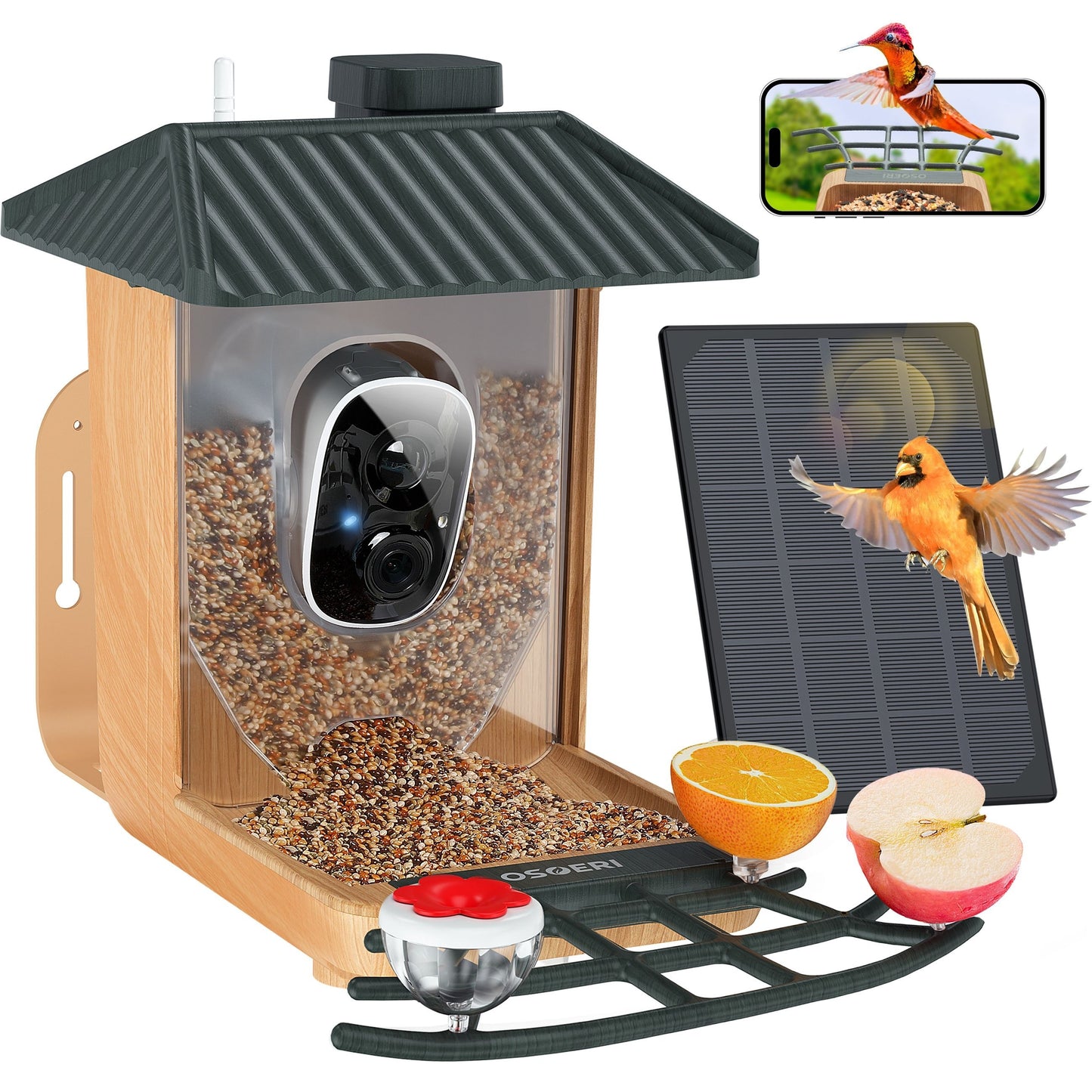 1080P HD Smart Bird Feeder with AI Identification